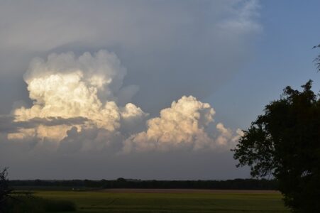 Happy Homesteading?! Image